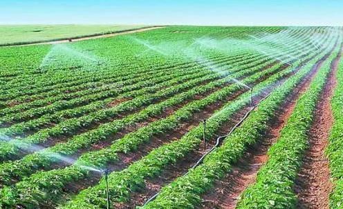 美骚女干农田高 效节水灌溉